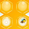 Find my hive memory match